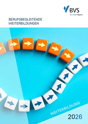 BVS Fortbildung 2026 - Cover Berufsbegleitende Weiterbildungen Auf einem hellblauen Hintergrund lieben zwei Reihen von quadratischen Würfeln mit Pfeilen die nach rechts zeigen. Die untere weiße Reihe wird durch eine obere orangefarbene und kürzere Reihe quasi überholt.