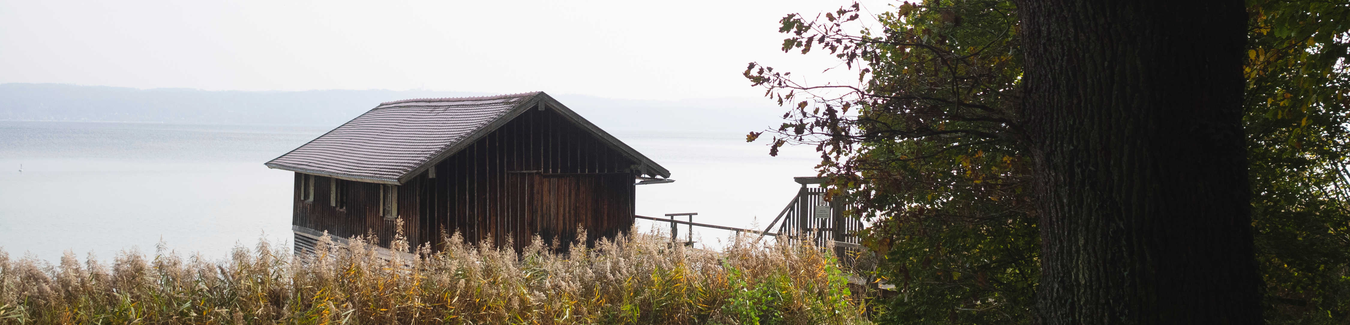 Bei diesem Bild handelt es sich um das Headerbild des Bereichs Freizeit in Holzhausen. Darauf zu sehen sind links eine Hütte, hinter einem Getreidefeld, und rechts ein Baum vor einem See.