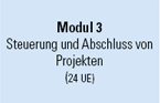 Modul 3 Projektleiter/-in (BVS)